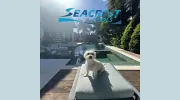 Seacrest Pools